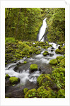 Ruckel Creek Falls by Anonymous