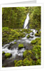 Ruckel Creek Falls by Anonymous