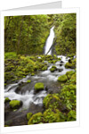 Ruckel Creek Falls by Anonymous