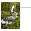 Ruckel Creek Falls by Anonymous
