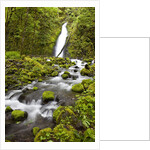 Ruckel Creek Falls by Anonymous