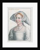 Mary Tudor by Anonymous