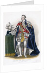 Member of the Order of the Garter by Anonymous