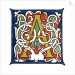 Initial letter A by Anonymous