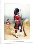 The 79th Queen's Own Cameron Highlanders by Anonymous