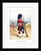 The 79th Queen's Own Cameron Highlanders by Anonymous