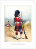 The 79th Queen's Own Cameron Highlanders by Anonymous