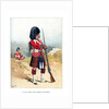 The 79th Queen's Own Cameron Highlanders by Anonymous