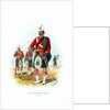 The 5th Royal Scots of Canada by Anonymous