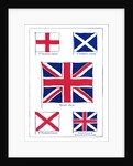 The origins of the British flag by Anonymous