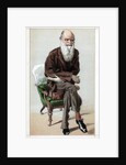 Caricature of Charles Darwin by Anonymous