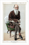 Caricature of Charles Darwin by Anonymous