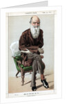 Caricature of Charles Darwin by Anonymous