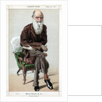 Caricature of Charles Darwin by Anonymous