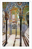 Court of the Lions at the Alhambra by Anonymous