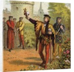 Red and white roses by Anonymous