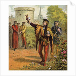 Red and white roses by Anonymous