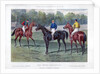 The Derby Favourites by Anonymous