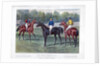 The Derby Favourites by Anonymous