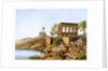 Egyptian temple by the Nile River by Anonymous