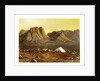 Mount Sinai by Anonymous
