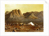 Mount Sinai by Anonymous