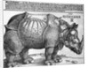 Rhinoceros by Albrecht Dürer
