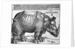Rhinoceros by Albrecht Dürer