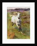 Study from life for Colt Hunting in the New Forest by Anonymous