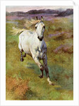 Study from life for Colt Hunting in the New Forest by Anonymous
