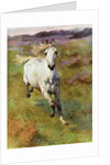 Study from life for Colt Hunting in the New Forest by Anonymous