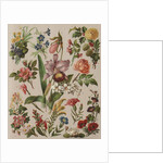 Familiar Flowering Plants by Anonymous