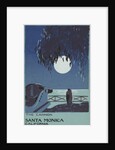 The Cannon Santa Monica, California Postcard by Anonymous