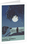 The Cannon Santa Monica, California Postcard by Anonymous