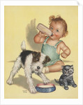 Baby with dog and kitten by Anonymous