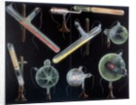 Substances fluorescing in vacuum tubes by Anonymous