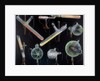 Substances fluorescing in vacuum tubes by Anonymous