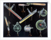 Substances fluorescing in vacuum tubes by Anonymous