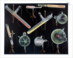 Substances fluorescing in vacuum tubes by Anonymous