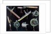 Substances fluorescing in vacuum tubes by Anonymous