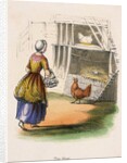 Woman collecting chicken eggs by Anonymous