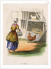 Woman collecting chicken eggs by Anonymous