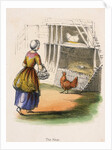 Woman collecting chicken eggs by Anonymous