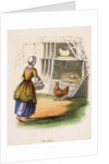 Woman collecting chicken eggs by Anonymous