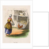 Woman collecting chicken eggs by Anonymous