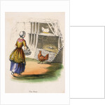 Woman collecting chicken eggs by Anonymous