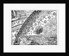 Engraving of a man discovering the point where earth and the sky meet by Anonymous
