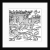 Rain of frogs recorded in 1355 by Anonymous