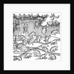 Rain of frogs recorded in 1355 by Anonymous