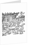 Rain of frogs recorded in 1355 by Anonymous
